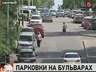 В Хабаровске чиновники хотят вырубить деревья, чтобы освободить места для парковки в центре