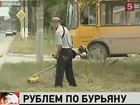 В Грозном за неподстриженную траву у дома теперь штрафуют