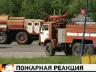 Пожарные слишком долго ехали к упавшему в Карелии самолету