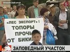 На границе Приморского и Хабаровского краев митингуют защитники леса