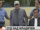 Ратко Младич вновь предстанет перед Гаагским трибуналом