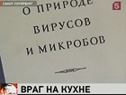 Британские учёные бьют тревогу: болезни и даже смерть могут прийти, откуда не ждёшь