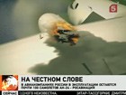 Горящий  "Ан-24"  пришлось сажать на воду. Есть погибшие.