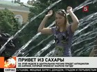 В Центральной полосе  почти как в тропиках