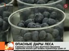 Роспотребнадзор проводит рейды по российским рынкам