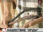 Районный суд Уфы запретил деятельность псевдорелигиозной организации «Орда»