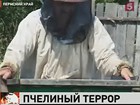 В Пермском крае целую деревню терроризируют пчелы