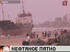 Пляж Мумбаи очищают от мазута