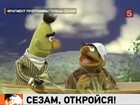 Продюсеры детского телешоу "Улица Сезам" отказали героям в свадьбе