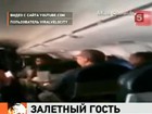 Летучая мышь учинила переполох на борту самолёта