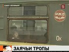 Штрафы за безбилетный проезд в электричках должны вырасти в несколько раз