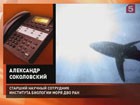 В Приморье в разгар туристического сезона закрывают для купания все бухты и пляжи в Хасанском районе