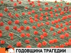 В Беслане 1 сентября вспоминают жертв теракта в школе №1