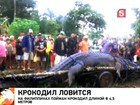 Настоящего монстра поймали на Филиппинах