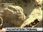 В Ленинградской области чернокопатели разорили  старинное кладбище