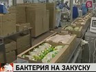 В Парагвае вспышка ящура в одной из провинций — экспорт говядины запрещен