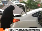 В Саудовской Аравии женщину приговорили к 10 ударам плетью за вождение автомобиля