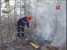 Лесные пожары в черте города Братска полностью потушены