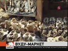 Рынок для колдунов Вуду в столице Того признан крупнейшим в мире