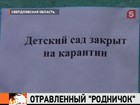 В Свердловской области отравились и попали в больницу десятки малышей