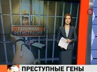 Осужденные за тяжкие и особо тяжкие преступления подвергнутся геномной регистрации