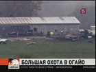 В одном из городов штата Огайо убиты 18 тигров, 17 львов, 8 медведей, волки и гепарды