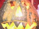 Хэллоуин в России отметили раньше положенного