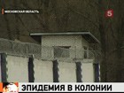 Эпидемия в колонии. В тюремную больницу в тяжелом состоянии попали  59 малышей