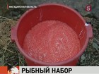 На Колыме небывалый урожай красной икры