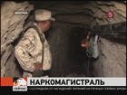 Четырнадцать тонн марихуаны обнаружили полицейские США и Мексики