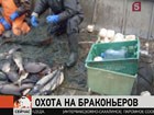 Госинспекторы занялись и проблемами водоёмов Северо-Запада