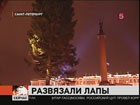 На Дворцовой площади Петербурга установили новогоднюю елку