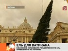 В Ватикане установили ёлку из Закарпатья