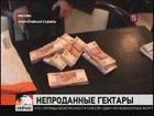 В столице задержали афериста, который пытался продать лесные угодья в Подмосковье