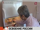 Японские пенсионеры едут в Комсомольск-на-Амуре