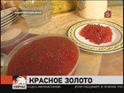 На Дальнем Востоке урожай икры