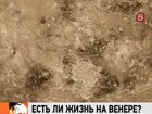 Вопрос "Есть ли жизнь на Венере?" сегодня на первых полосах мировой прессы