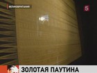 Уникальную накидку, сделанную из золотого шёлка пауков, представили на выставке в Лондоне