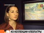 Коллекция картин Элизабет Тейлор уйдет с молотка