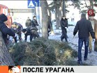 В Новороссийске добровольцы восстанавливают город после урагана