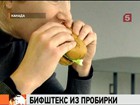 В Нидерландах учёные выращивают мясо для первого в истории бифштекса из стволовых клеток