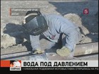 Жители Ставропольского края благодарят свою соседку за смелость