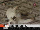 Сегодня празднуем кошкин день!