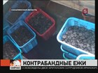 В Охотском море провели спецоперацию