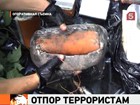 Две сотни терактов на территории России предотвратил национальный антитеррористический комитет за последние два года