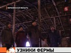 В Воронежской области расследуют дело о похищении человека