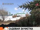 У новгородского Кремля выкорчевывают деревья, чтобы построить ресторан