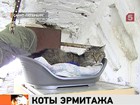 В Петербурге отмечают День эрмитажного кота