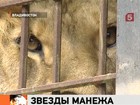 Когда звери выходят на пенсию, их просто выкидывают