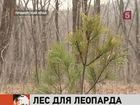 На «Землю леопарда» пришли люди